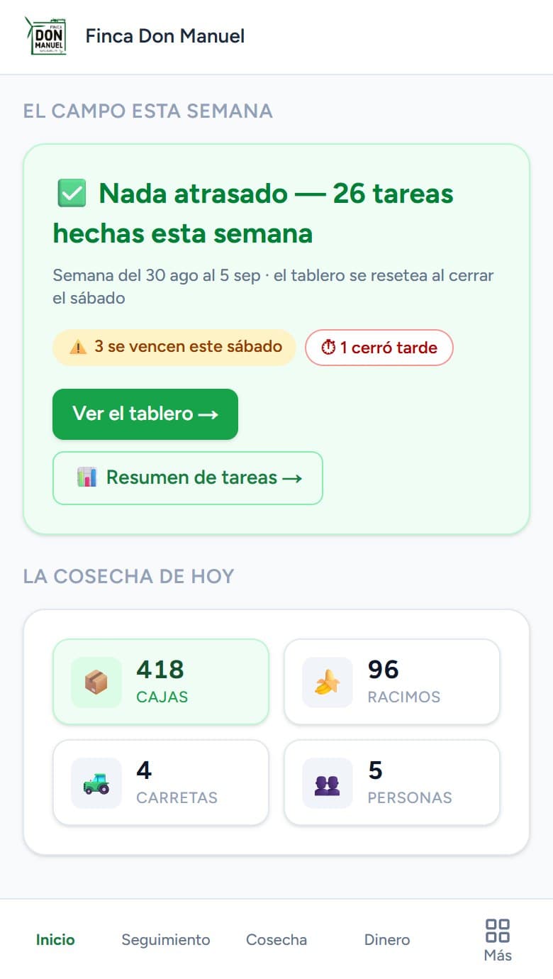 Pantalla real: el campo esta semana y la cosecha de hoy